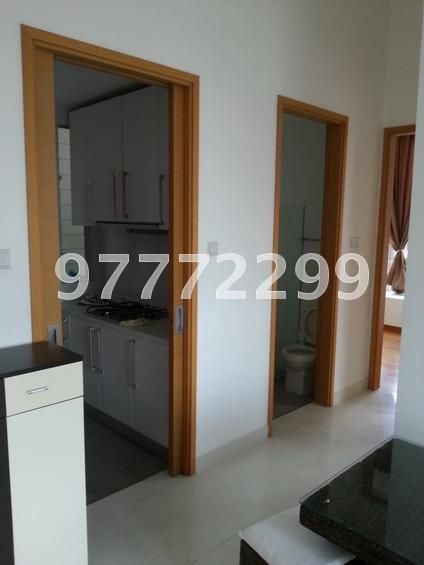 Aquene (D15), Apartment #161667882